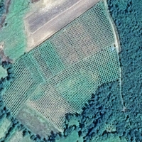 14746409647995_5HA_ZasadKG_Sadjen052015_cep042016 (41).JPG